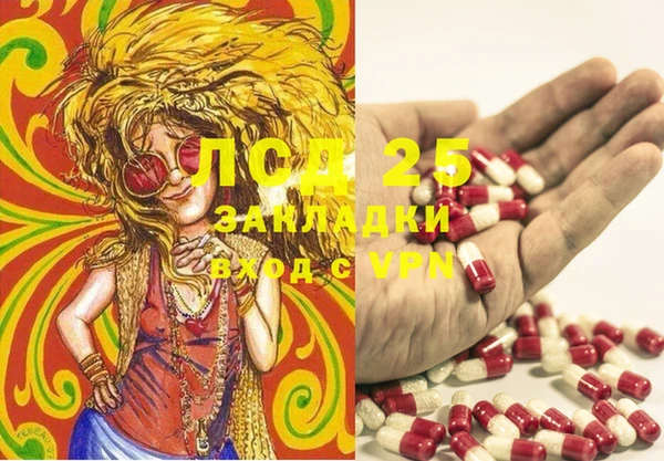 кокс Баксан